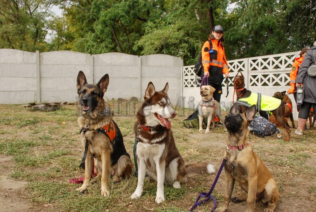 В Днепре поисковые собаки искали 9 детей. Новости Днепра