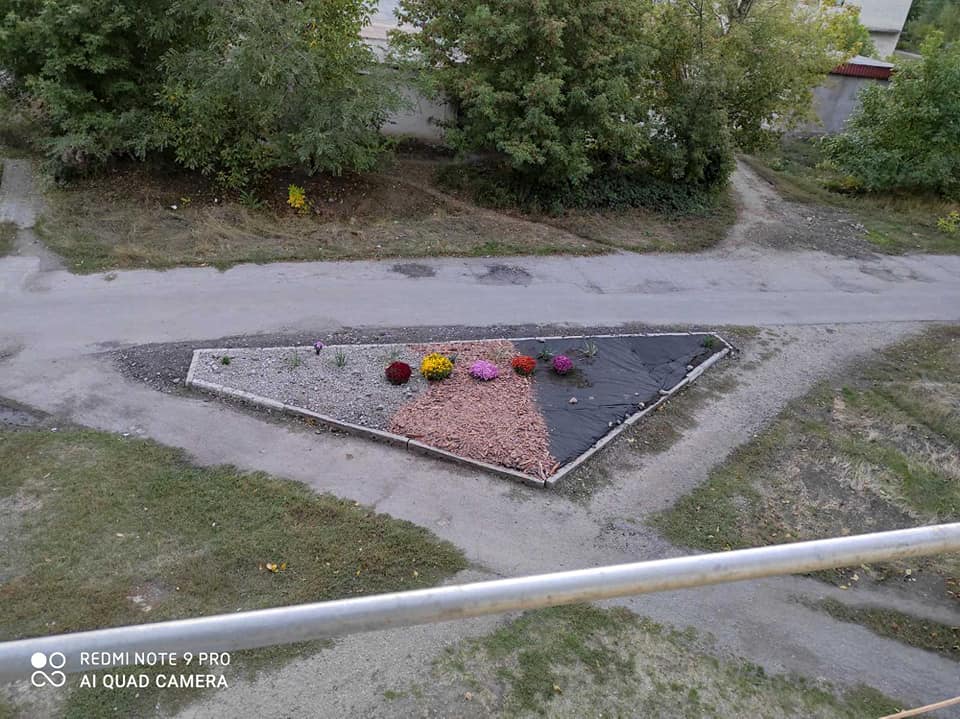 Неизвестные "герои": под Днепром через соцсети ищут похитителей хризантем (Фото)