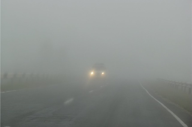 Синоптики предупредили, что 13 октября ночью и утром в городе Днепр и местами по области ожидается туман. Так и произошло. Сейчас в регионе действительно густой туман. Новости Днепра