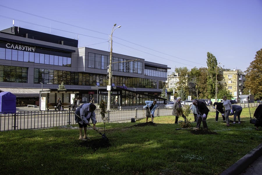 Уже 170 деревьев высадили в городе слушатели «Университета третьего возраста» в рамках программы озеленения и декадника