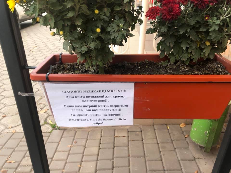 Мы подарим: в Кривом Роге просят не воровать цветы возле офиса (Фото)