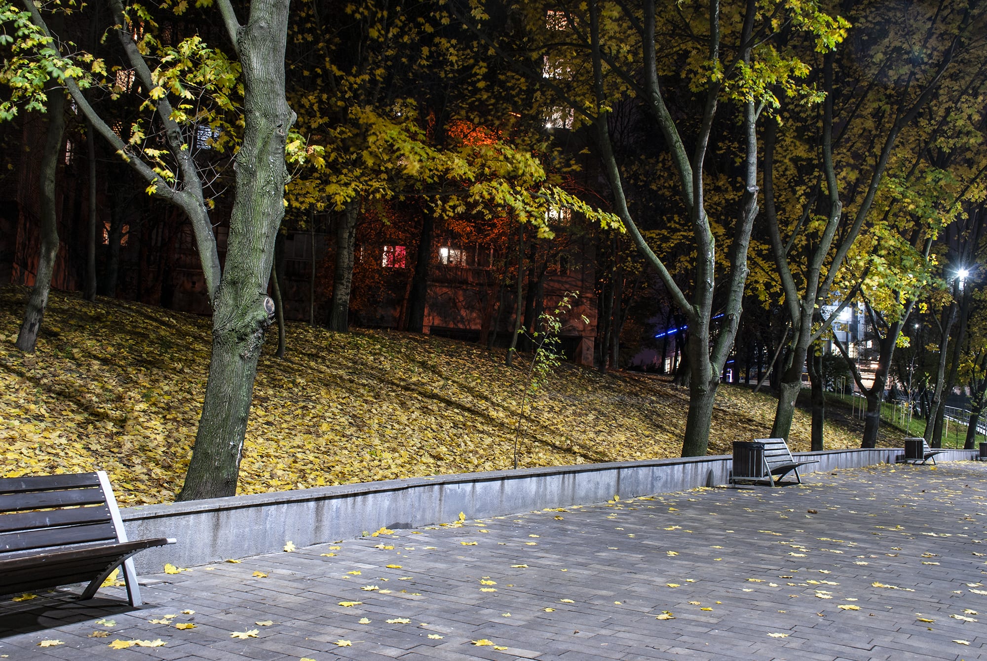 Зеленый Гай под покровом ночи: яркие осенние кадры любимого места отдыха днепрян (Фото)