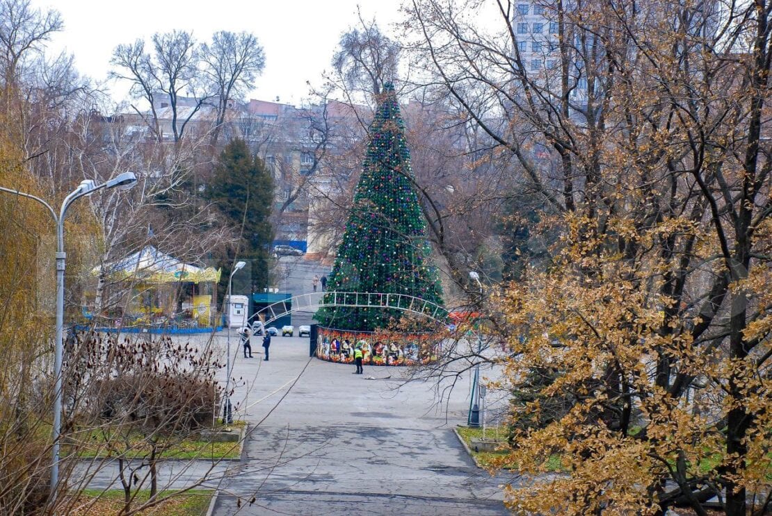 В Днепре в парке Глобы зажгли новогоднюю елку (Фото)