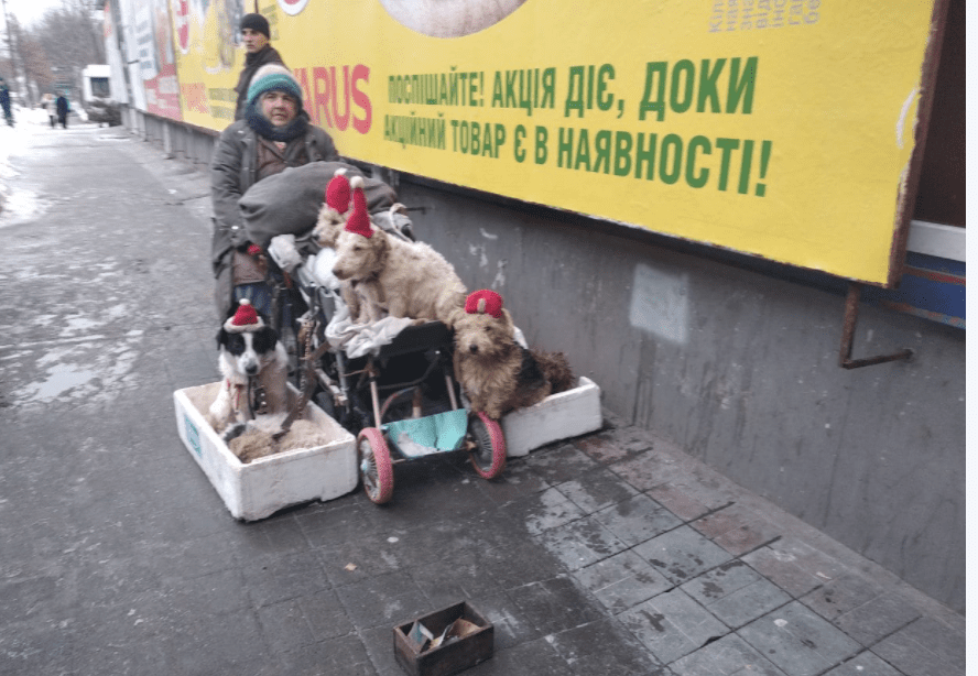 В Днепре на Рабочей годами сидит женщина, обвешанная мохнатыми собаками (Фото)