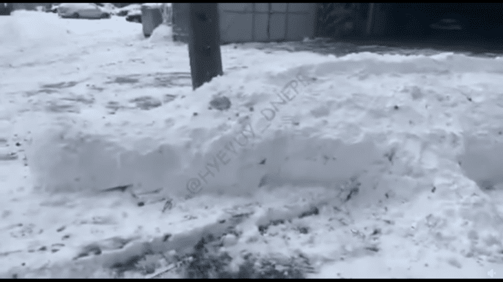 Шедевр из снега: на улицах Днепра появился огромный аллигатор (Видео)