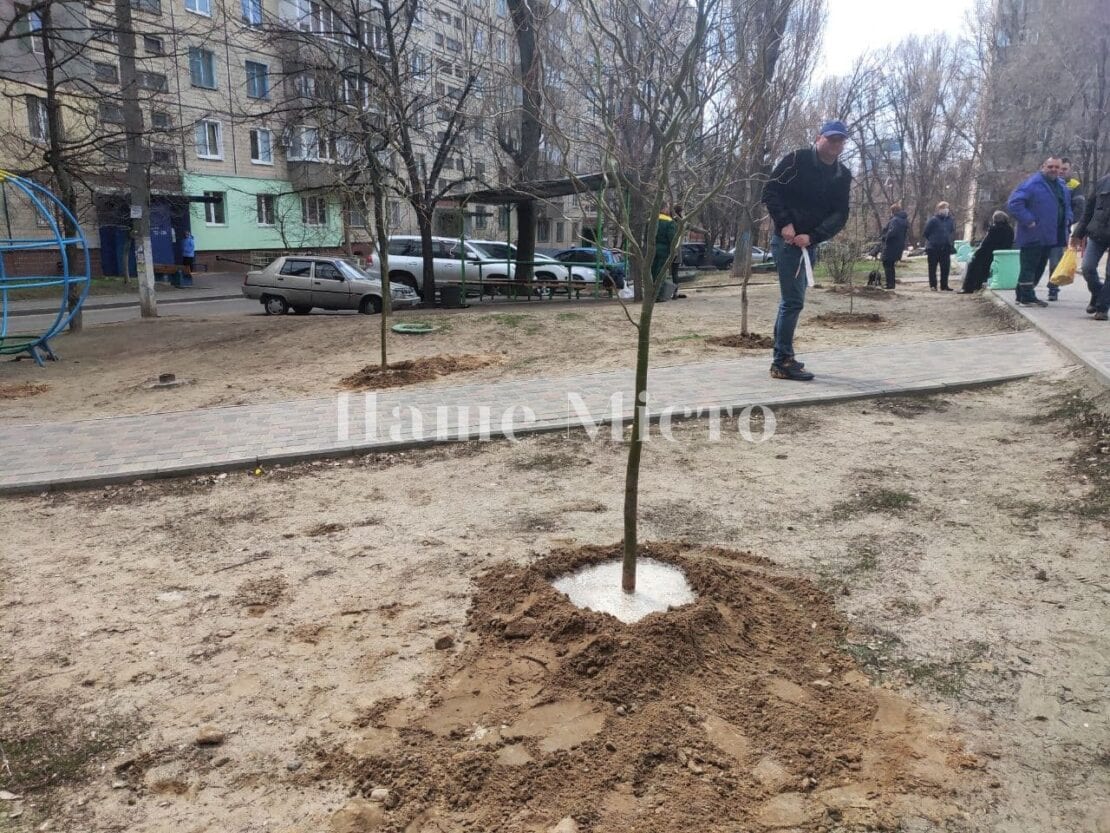 В переулке Крушельницкой высадили молодые деревья – новости Днепра