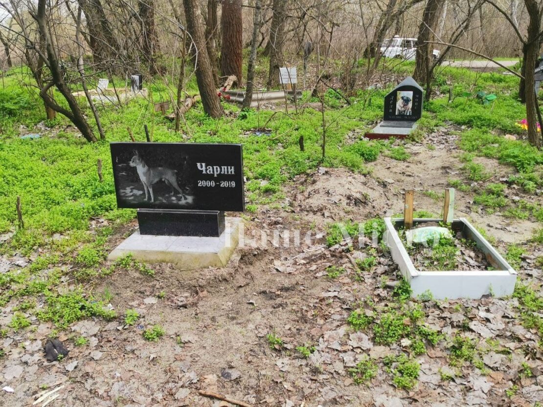 Кладбище домашних животных на Красном Камне – новости Днепра