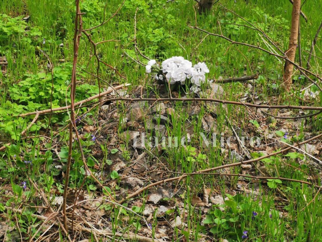 Кладбище домашних животных на Красном Камне – новости Днепра