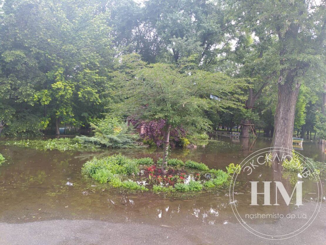 В парке Глобы затопило клумбы (Фото) – новости Днепра