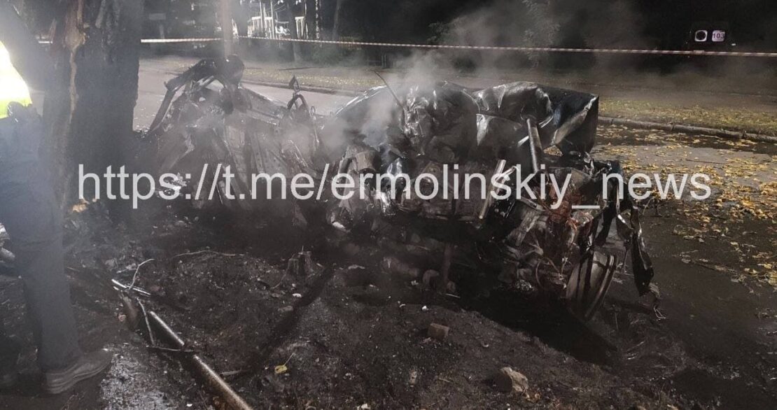 Под Днепром автомобиль «Toyota» врезался в дерево, женщина-водитель погибла на месте (фото)