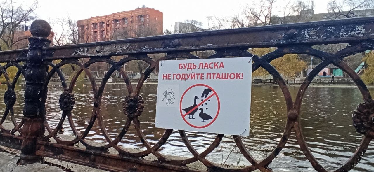 Новости Днепра про Хотят спасти уток: в Днепре в парке Глобы появились запрещающие таблички