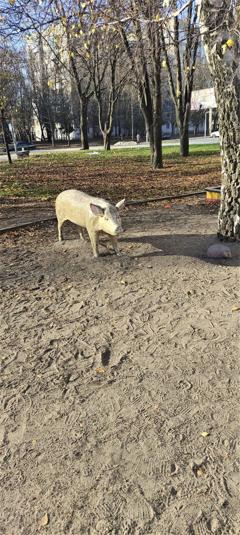 Новости Днепра про Гномы в кустах, свинья и бульдог: в центре Днепра заметили странную детскую площадку