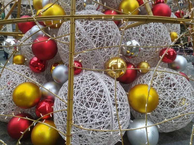 Новости Днепра про Праздник к нам приходит: на Екатеринославском бульваре установили новогоднюю елку (ФОТО)