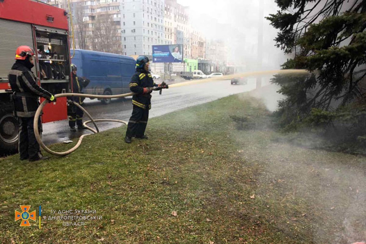Огнеборцы спасли елку от огня