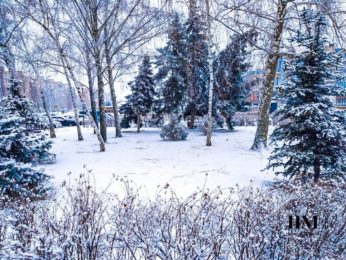Город накрыло снегопадом (Фото) - новости Днепра