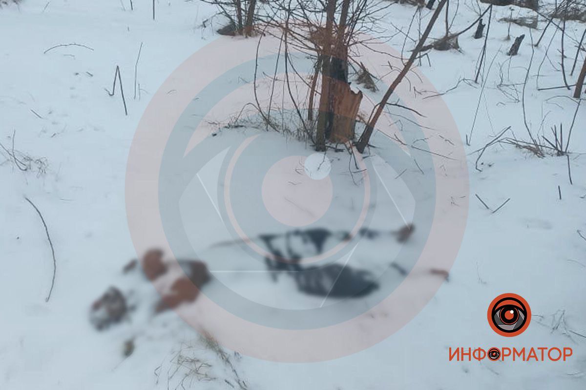 Новости Днепра про Тело было зарыто в снегу: под Днепром возле кладбища нашли обнаженный труп