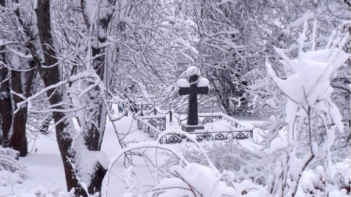 Новости Днепра про Тело было зарыто в снегу: под Днепром возле кладбища нашли обнаженный труп