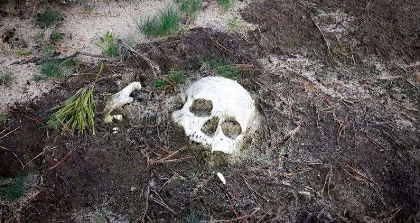 Новости Днепра про Кости и череп: на Днепропетровщине нашли человеческие останки