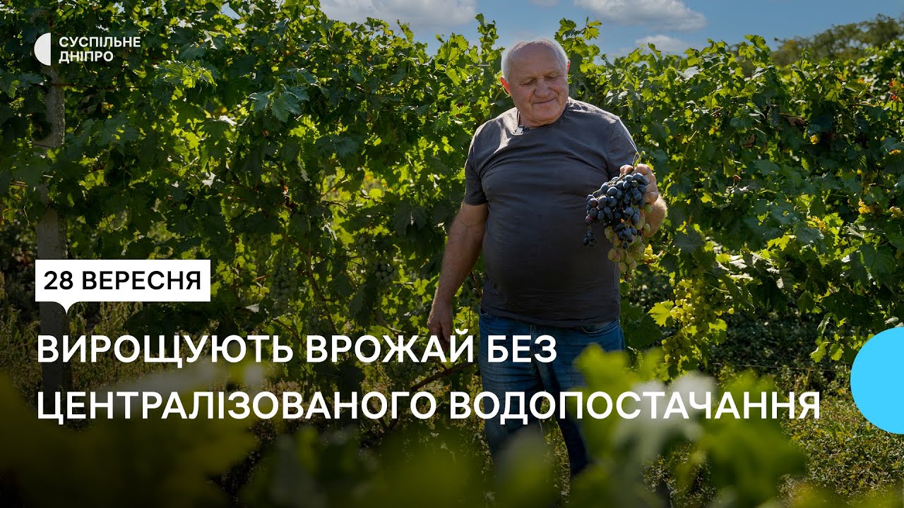 Чотири місяці без води: як фермер з Нікопольщини вирощує врожай на 400 гектарах землі в нових умовах