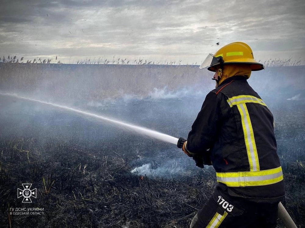 На Одещині діти підпалили очерет: вигоріло майже півтора гектара 