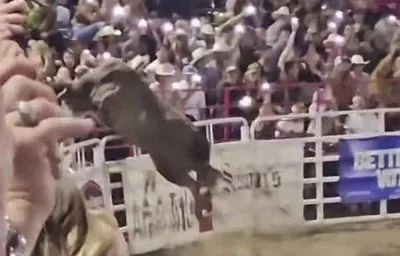 На родео в Орегоні бик зірвався з ланцюга, стрибнув на трибуни: кілька людей постраждали
