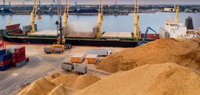 Експорт зернових зріс у зв'язку з активізацією боротьби з вивезенням зерна "в сіру" і роботи зернового коридору - експерт